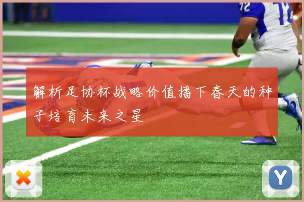 解析足协杯战略价值播下春天的种子培育未来之星